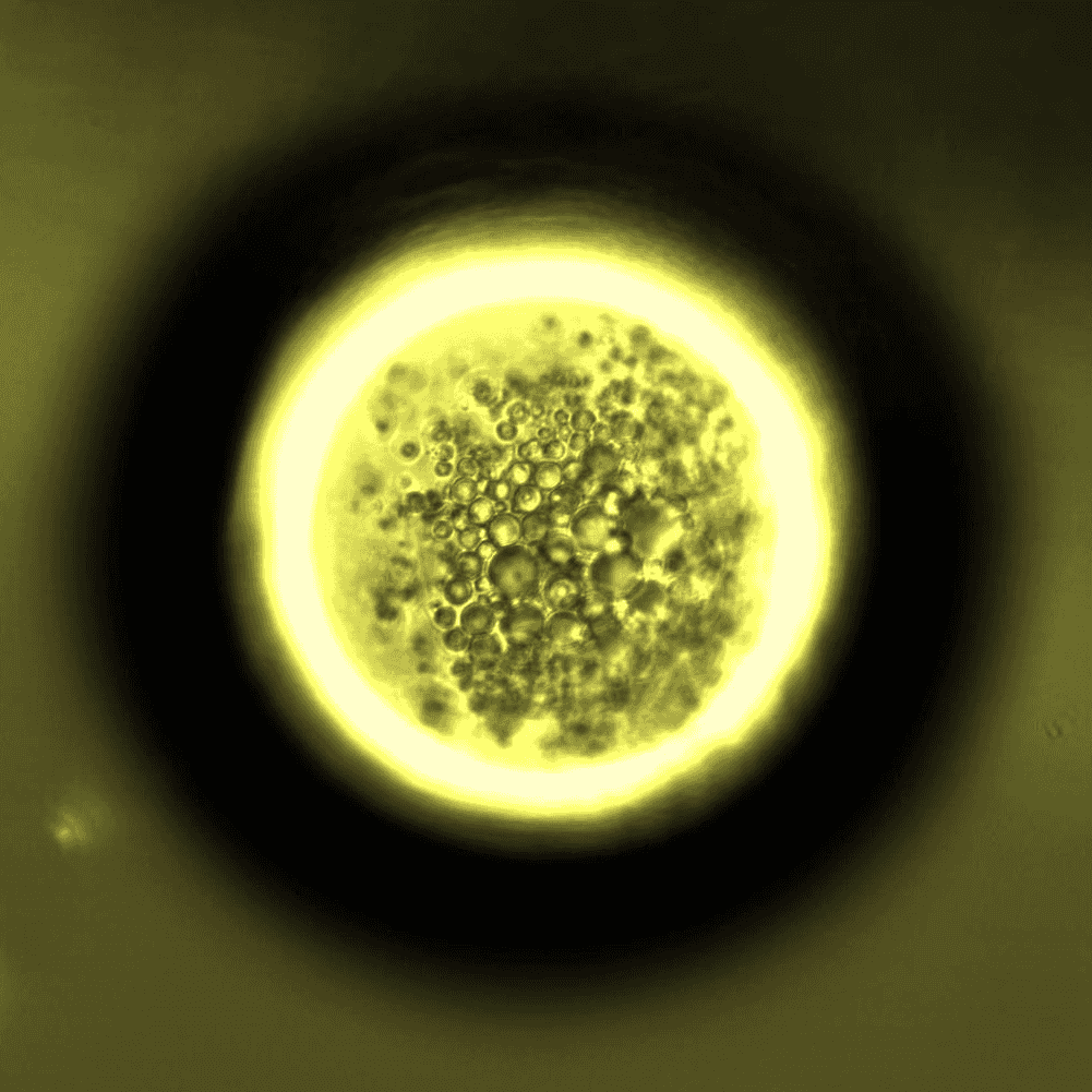 BlackHole Art